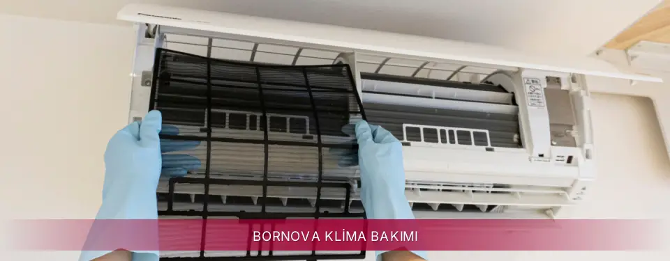 Bornova İlçemi LG Klima Bakımı