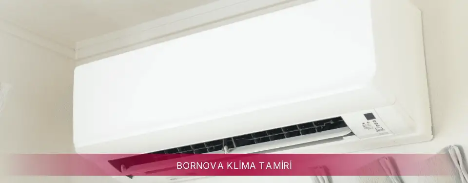 Bornova İlçemi LG Klima Tamiri